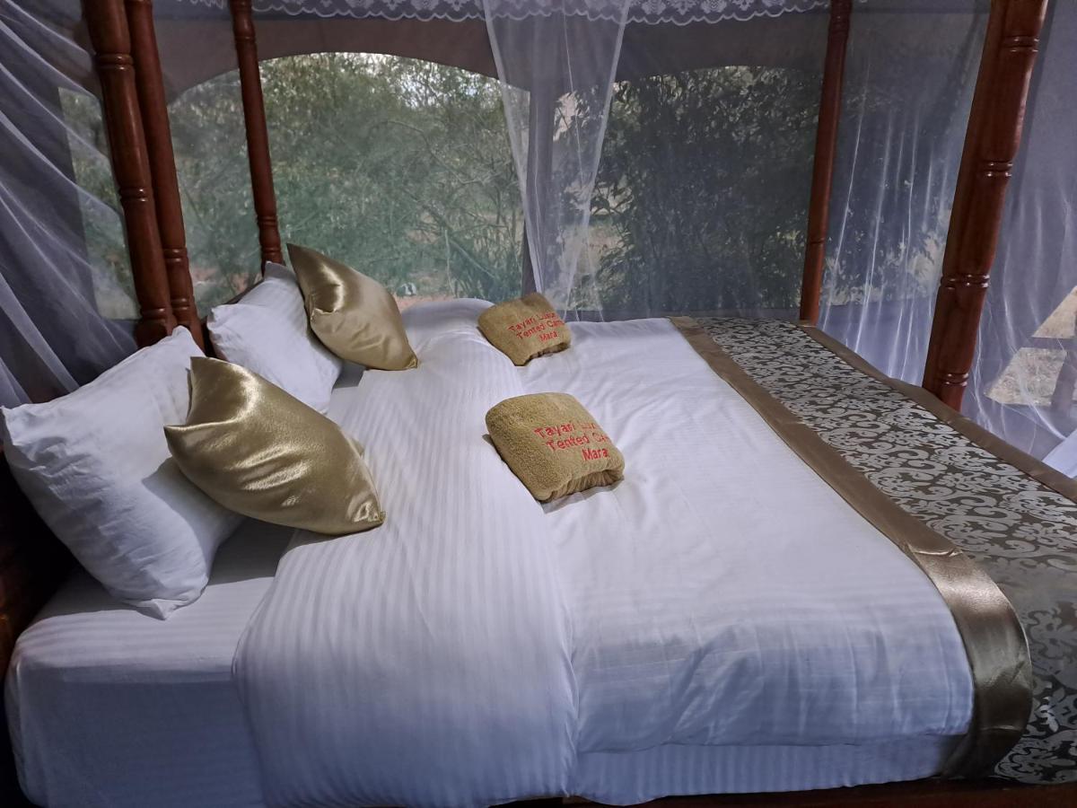 Tayari Luxury Tented Camp - Mara Sekenani Exterior foto